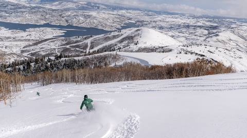 Deer Valley Staff skiing fresh powder during cat skiing tour