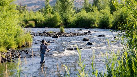 A man is fly fishing in the river.