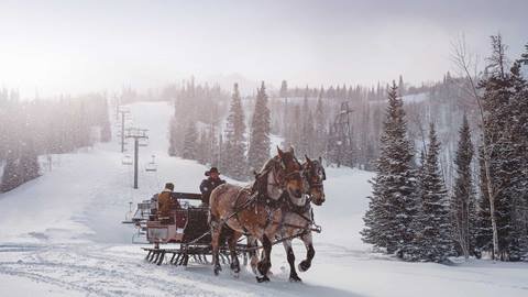 Guests on a sleigh ride at Deer Valley during a snowstorm.