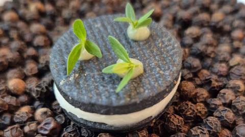 Plated dish by Chef Enrico Bartolini