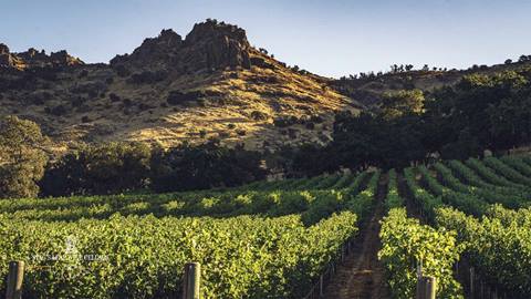 Stag's Leap Napa Valley winery