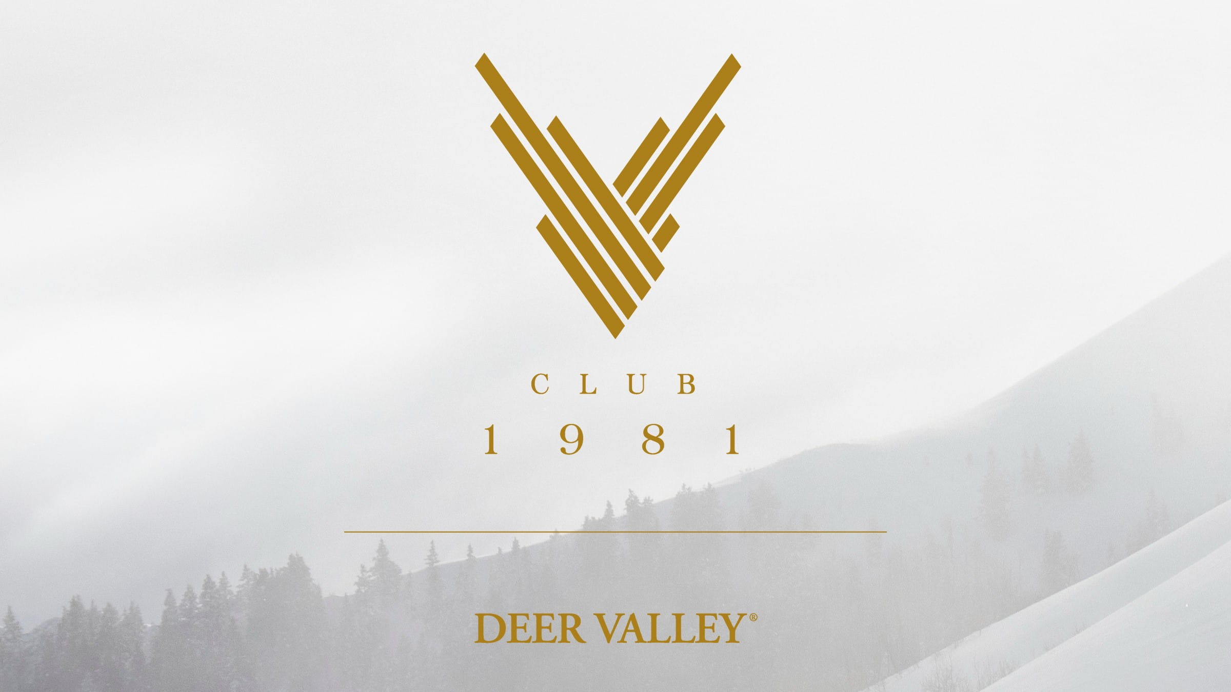 Club 1981 Logo Image