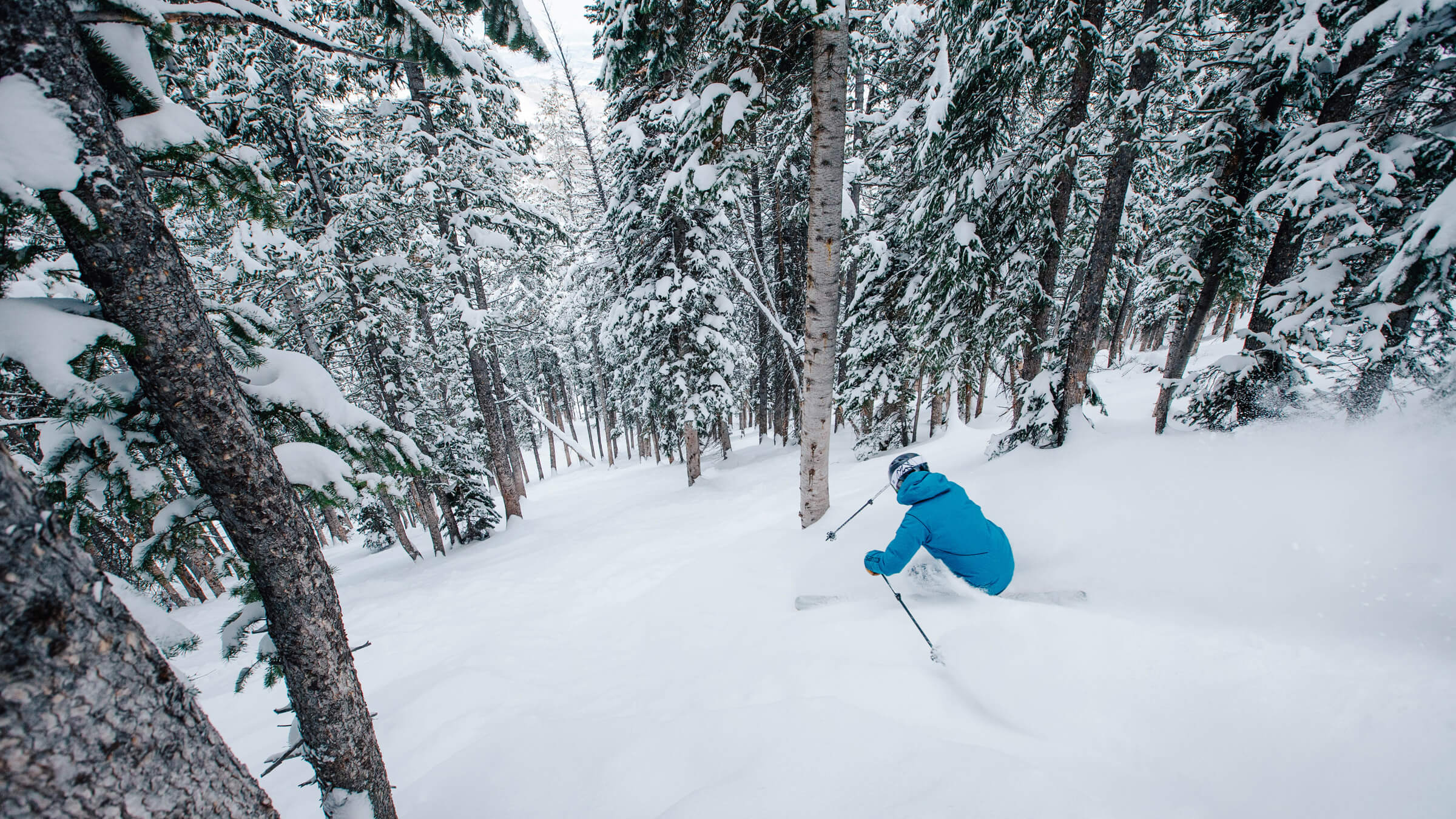 Skier going through deep powder in the trees.