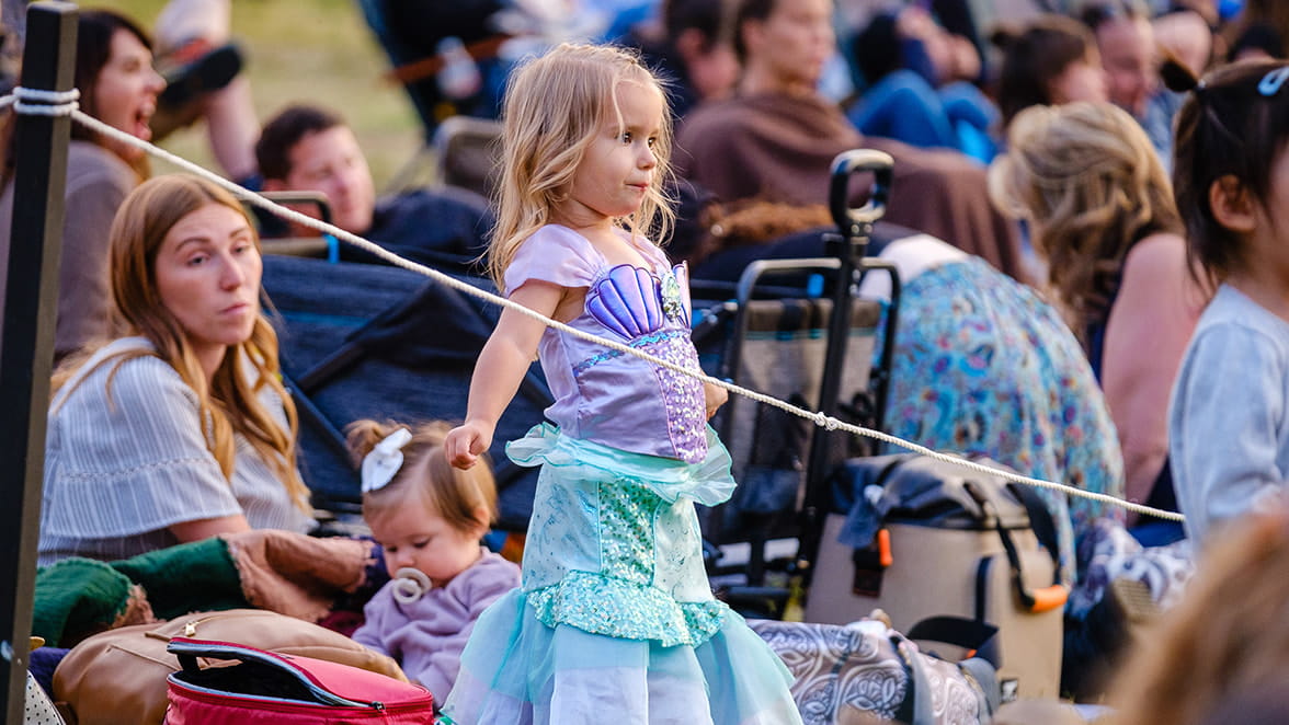 Little girl wearing a princess costume.