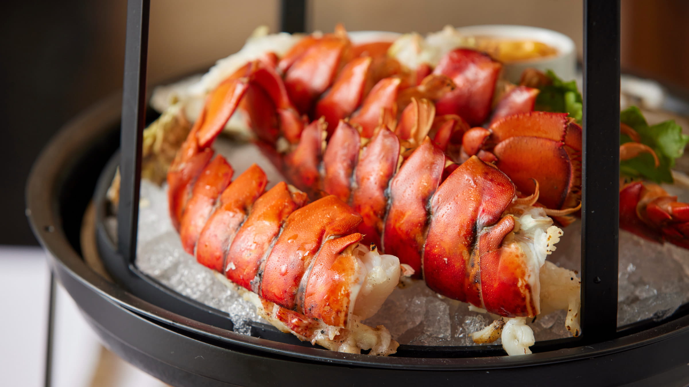 Fresh lobster 