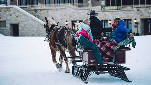 Family sitting in the back of a horse-drawn sleigh.