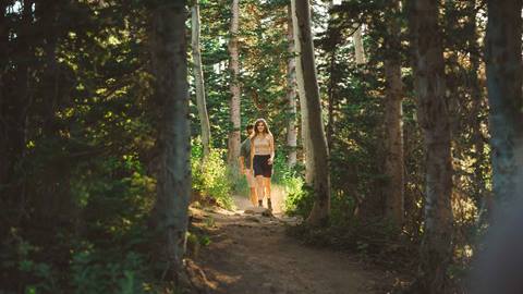 Couple hiking through tall trees at Deer Valley in the summer.