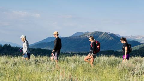 Four hikers walking through tall grass at Deer Valley.