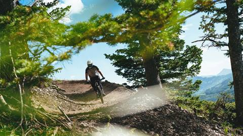 Guest mountain biking through the trees at Deer Valley.
