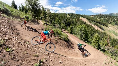 Three guests riding mountain bikes.