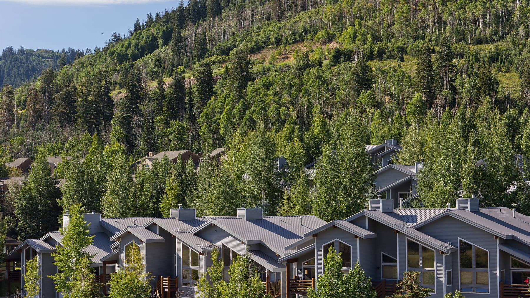 Boulder Creek Summer Exterior