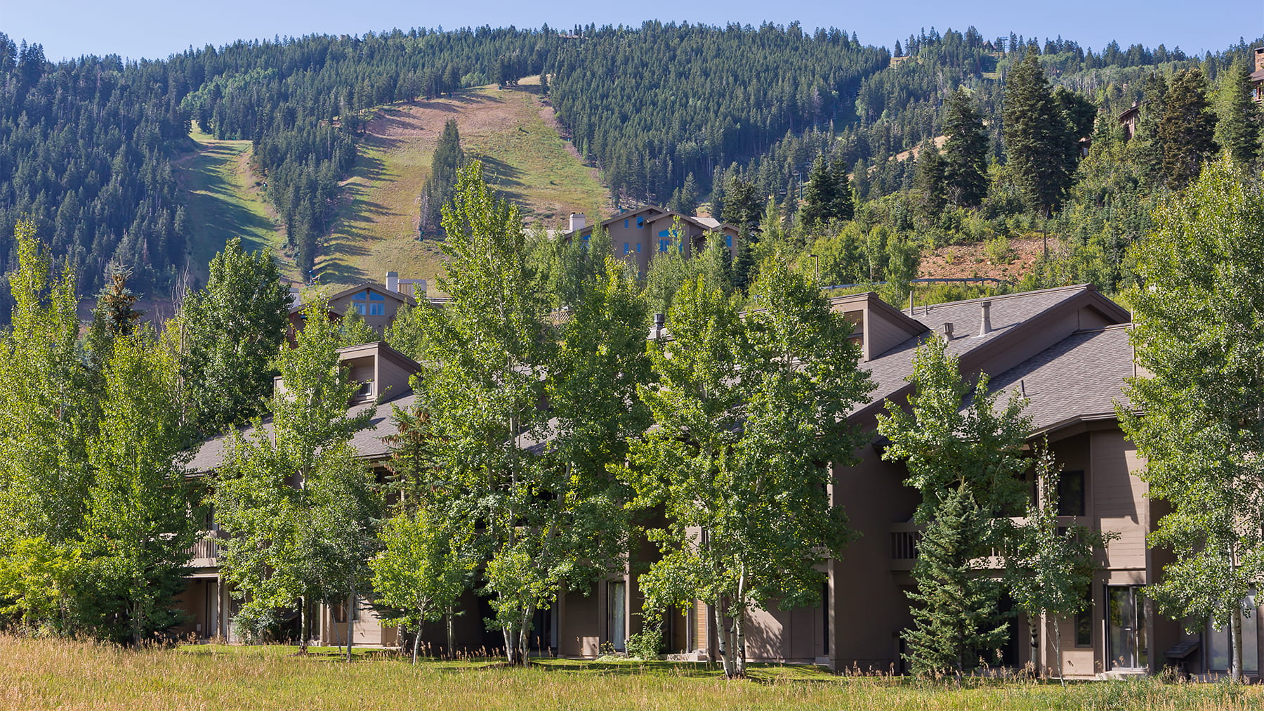 Lakeside Summer Exterior