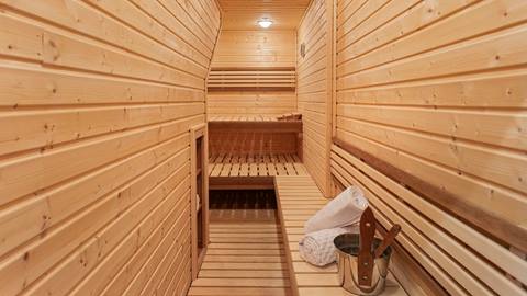 Stag 47 Sauna