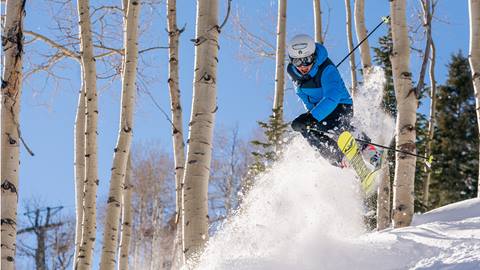 Skier jumping in the trees