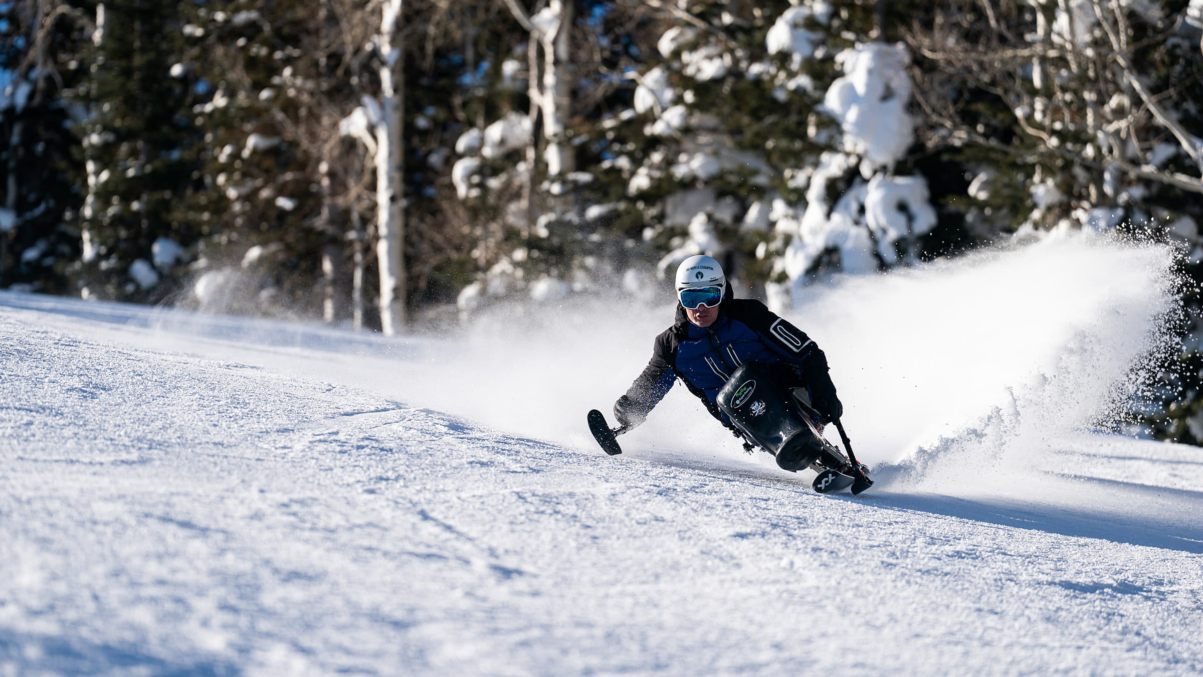 Skier carving