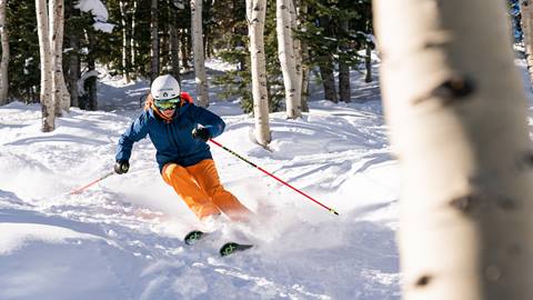 Skier skiing through the trees