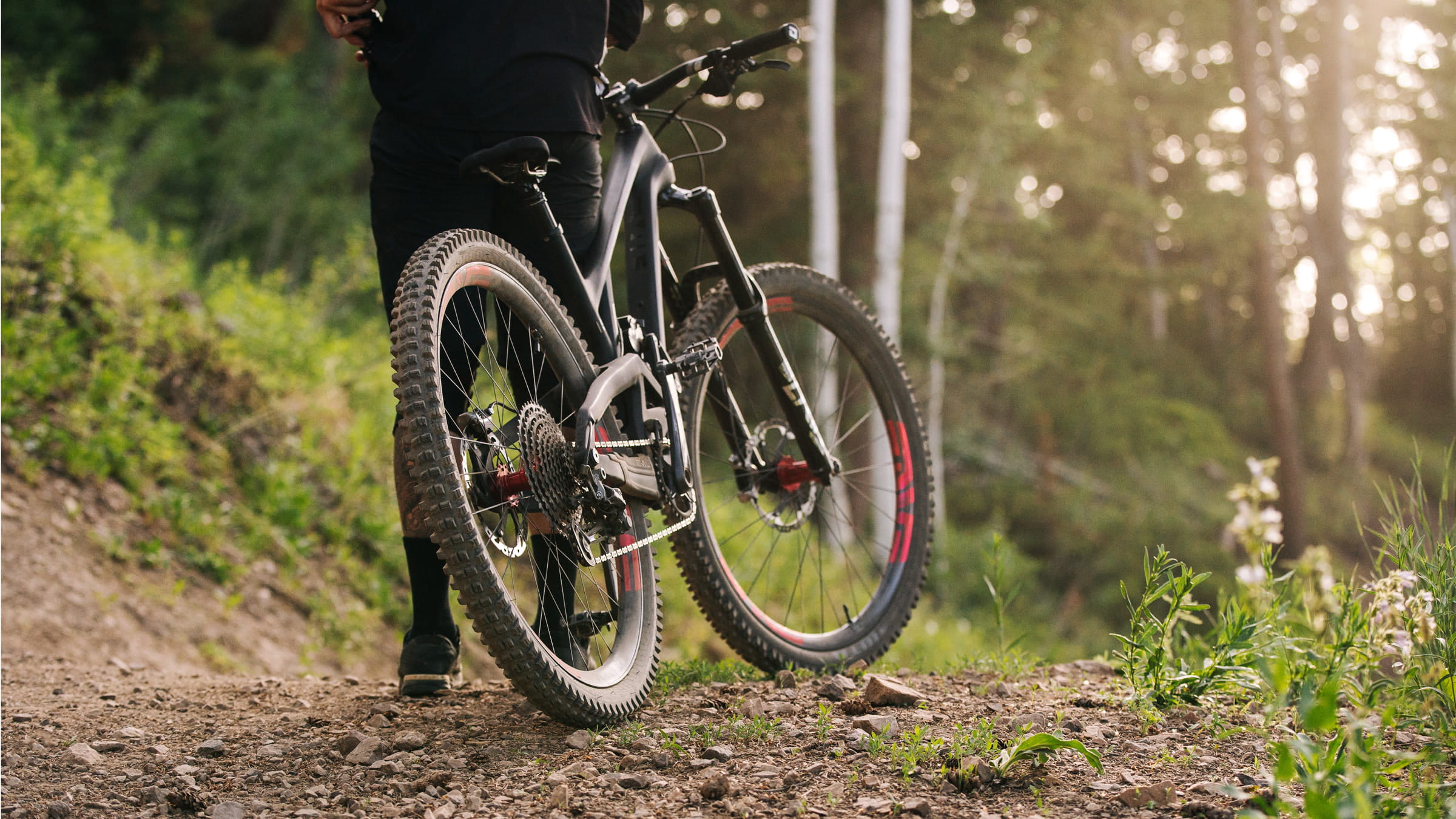 Mountain Bike Rental