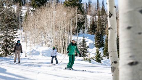 Group Skiing with Instructor