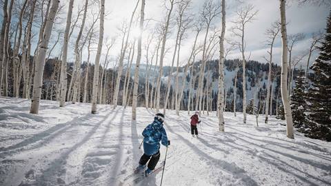 Two kids skiing through aspen trees on a sunny day at Deer Valley.