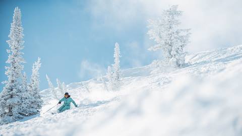 Woman guest skiing powder on a blue bird day at Deer Valley.