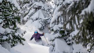 a skier with a deer valley resort lift ticket navigates through a forest of snow-covered pine trees