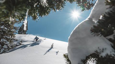 Man skiing deep powder at Deer Valley on sunny bluebird day.