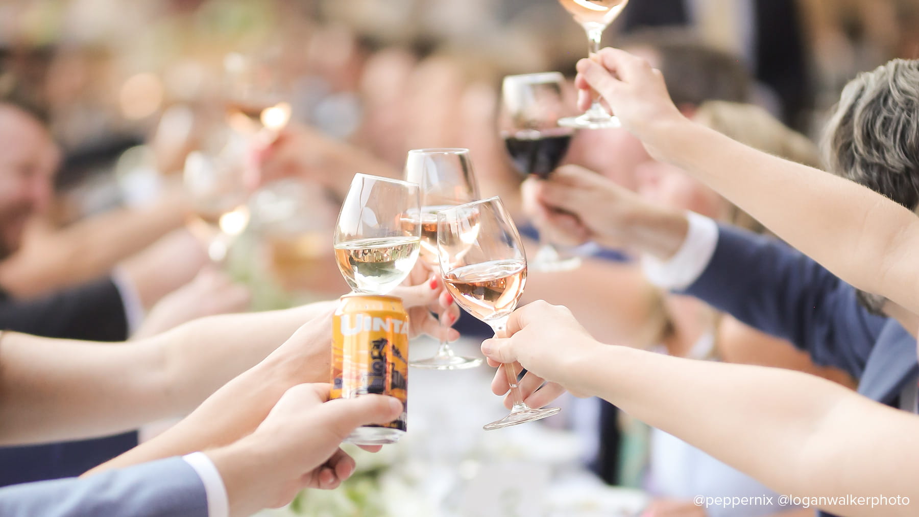 Guests cheersing at a table