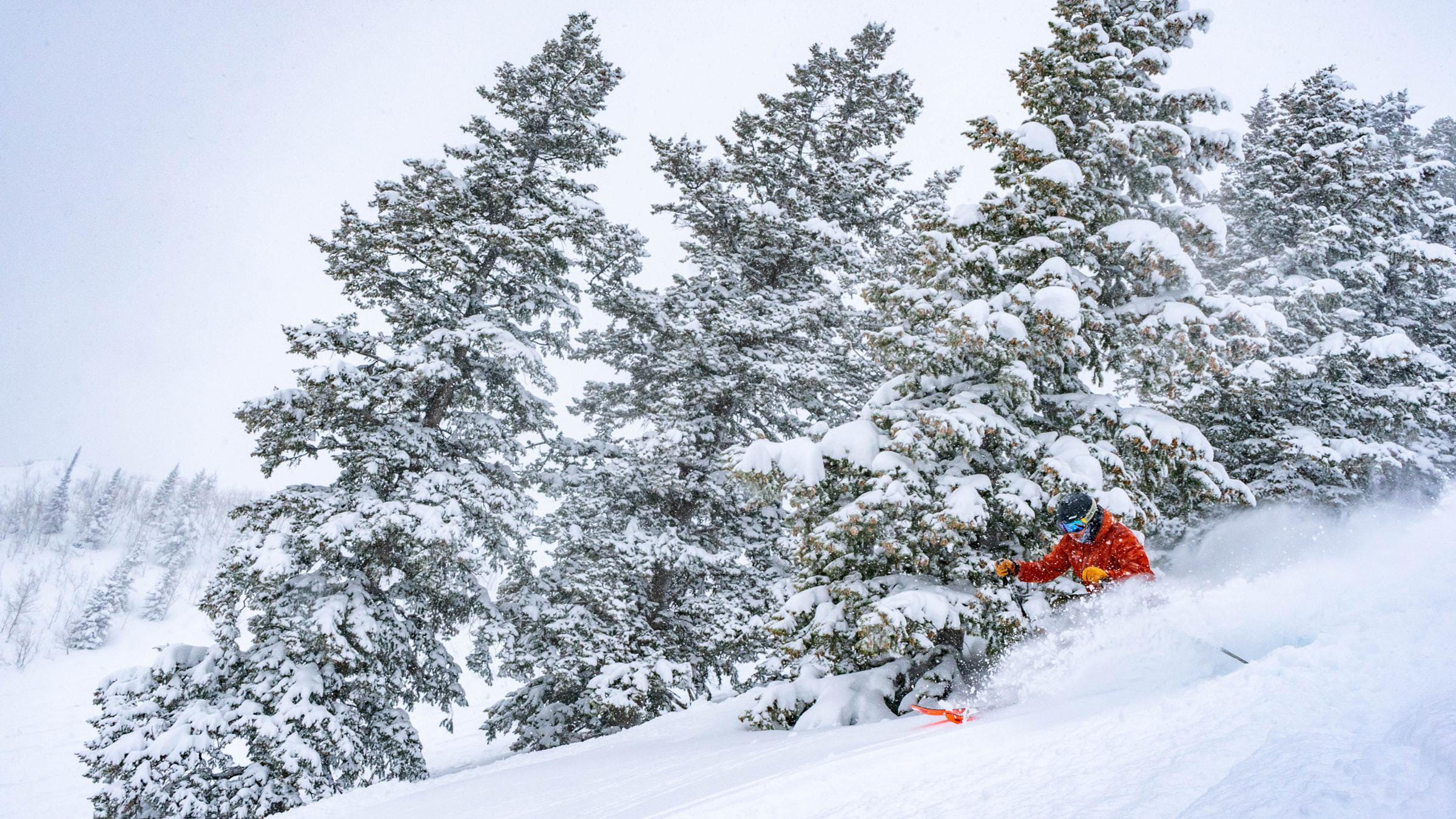 Powder Skiing at Deer Valley Resort