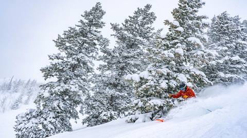 Powder Skiing at Deer Valley Resort