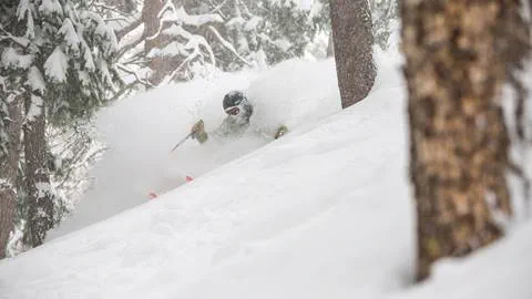 A guest skiing powder in the trees