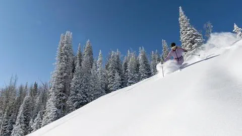A guest skiing powder at Deer Valley Resort with snowy trees and blue skies in the background