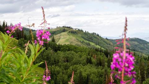 016 Deer Valley Resort Summer_Summer Scenic.jpg