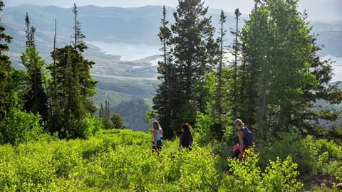 Hiking at Deer Valley