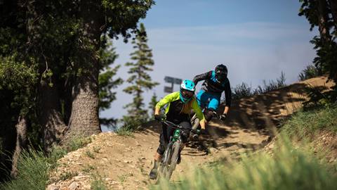 Mountain Biking, Bike, Trail, Summer