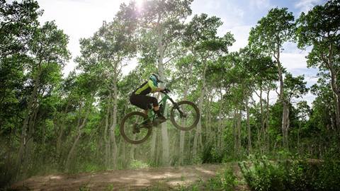 Mountain biker getting some air in the aspen trees