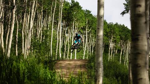 A guest mountain biking at Deer Valley