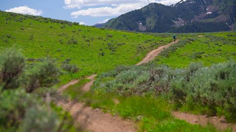 Scenic summer mountain