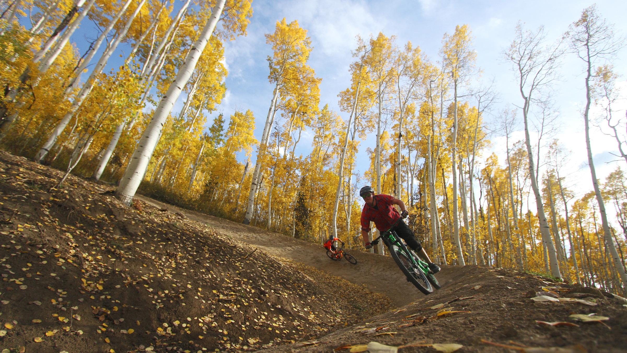 Fall mountain biking