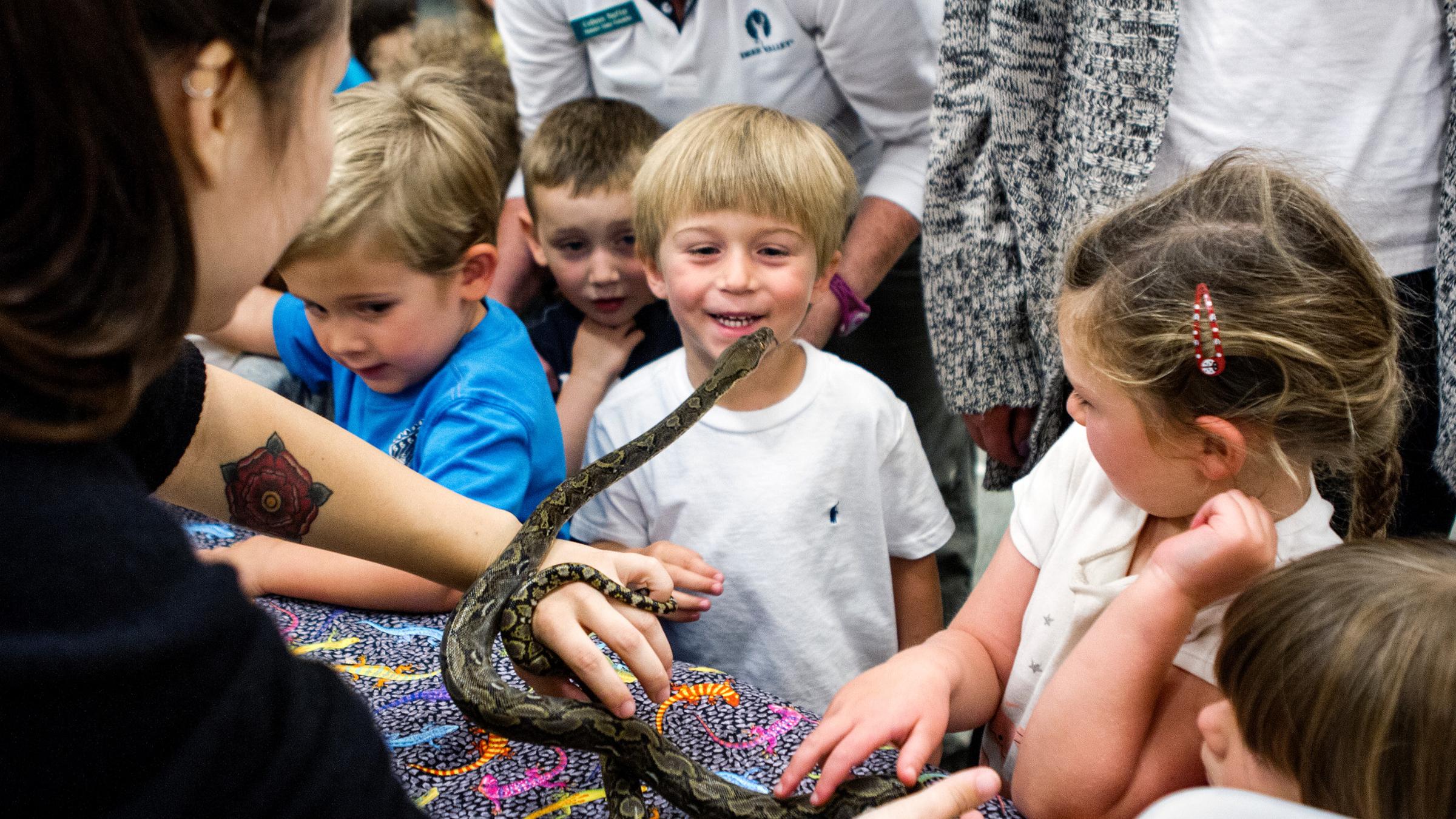 Summer campers looking at a snake