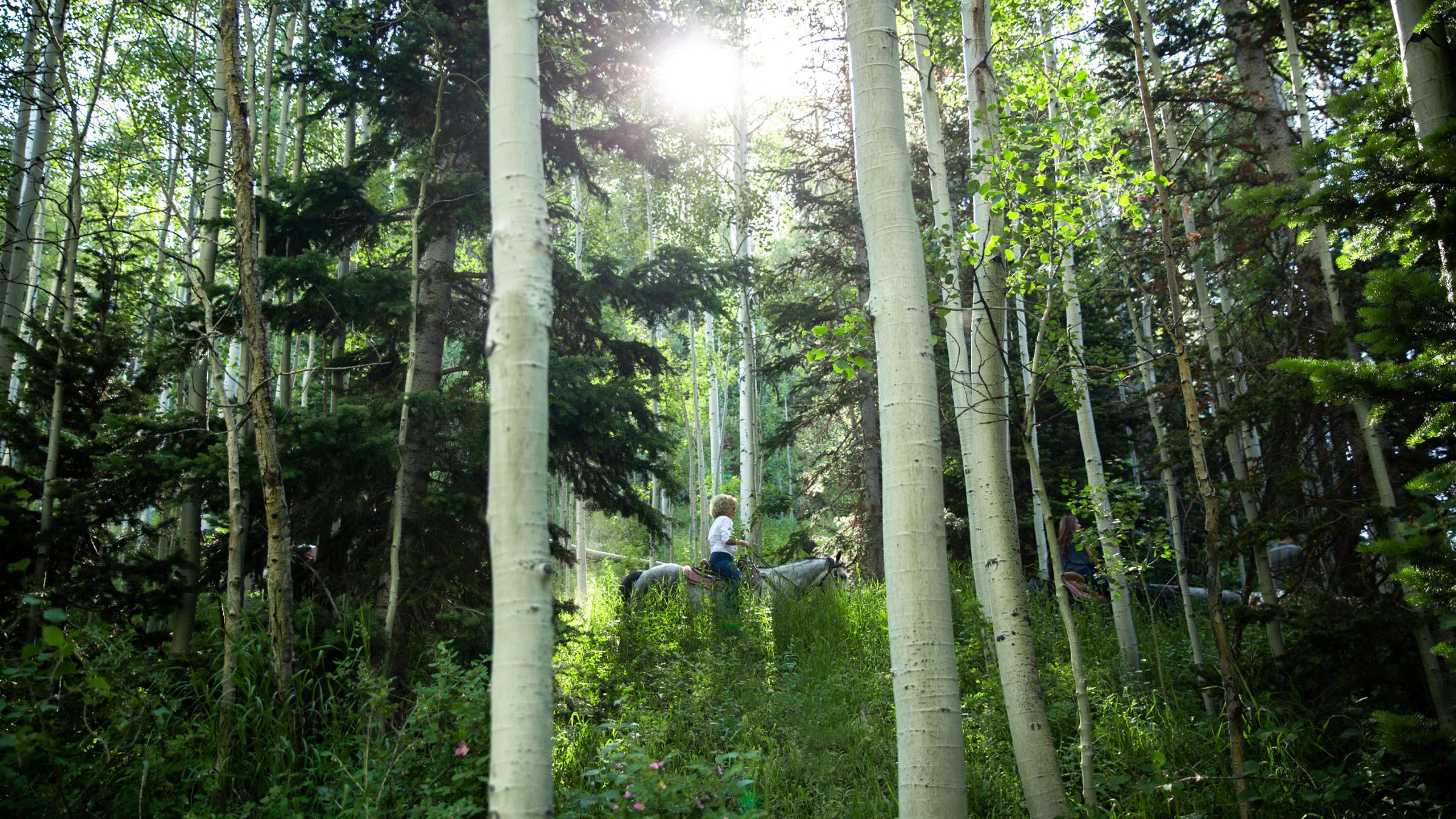 Horseback Riding at Deer Valley