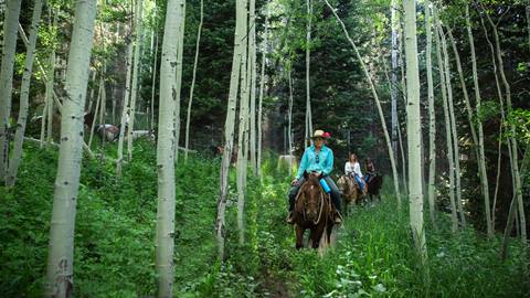 Horseback Riding at Deer Valley