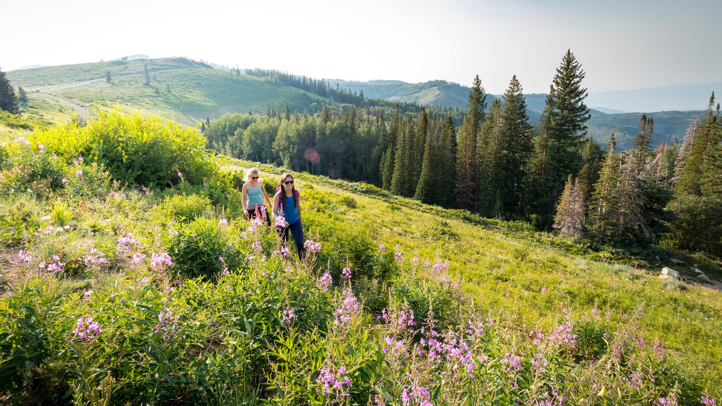 Hiking Deer Valley