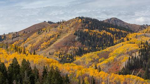 2021.10.5_DV_Fall Foliage_55.jpg