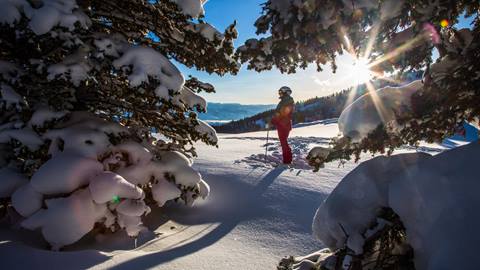 A guest standing in the snow looking out with snowy trees surrounding